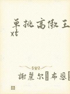 单挑高傲王子txt