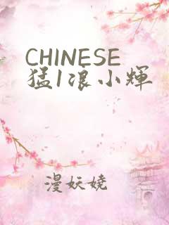 CHINESE猛1浪小辉