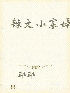 辣文小寡妇