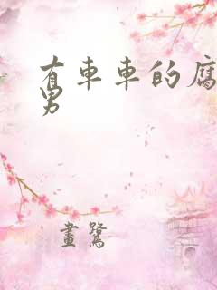 有车车的腐肉双男