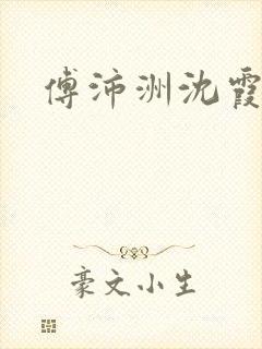 傅沛洲沈霞小说