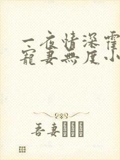 一夜情深霍先生宠妻无度小说免费阅读