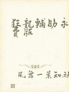 狂龙辅助永久免费版