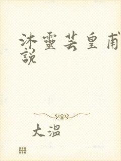 沐灵芸皇甫霆小说