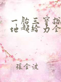 一胎三宝总裁爹地超给力全文免费阅读