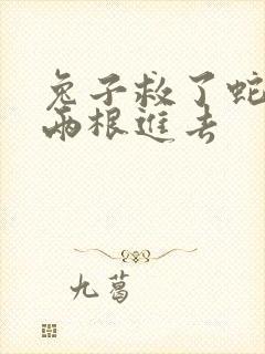 兔子救了蛇被蛇两根进去