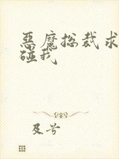 恶魔总裁求你别碰我