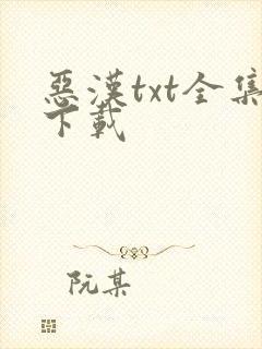 恶汉txt全集下载