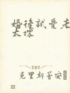 婚后试爱老公别太坏