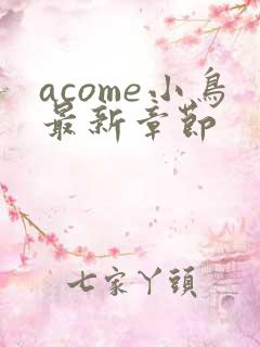 acome小鸟最新章节