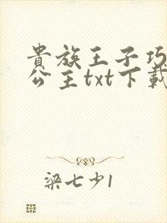 贵族王子巧遇穷公主txt下载