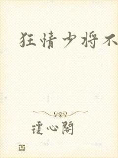 狂情少将不良妻