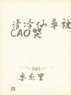清冷仙尊被强制CAO哭