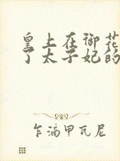 皇上在御花园c了太子妃的网剧