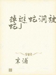 掉进蛇洞被一堆蛇J