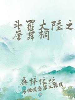 斗罗大陆之肉奴唐舞桐