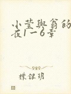 小莹与翁的销魂夜1一6章