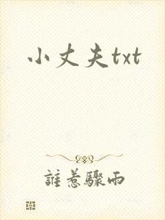 小丈夫txt