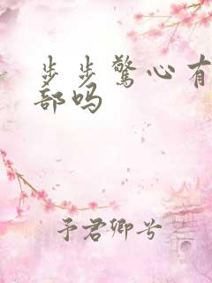 步步惊心有第二部吗