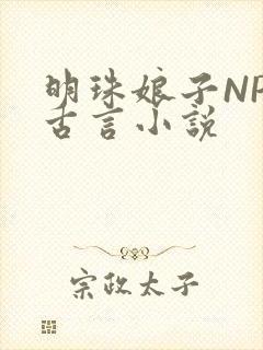 明珠娘子NPC古言小说