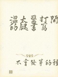 温太医打开眉庄的腿书写