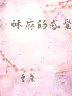 酥麻的感觉小说