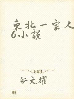 东北一家人1一6小说