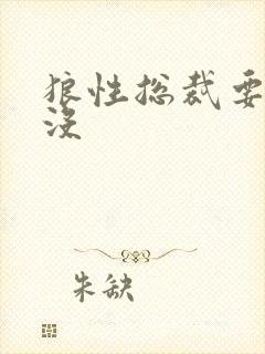 狼性总裁要够了没