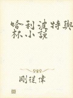 哈利波特与火焰杯小说