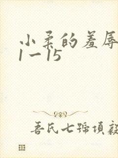 小柔的羞辱日记1一15