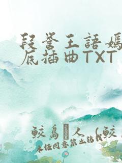 段誉王语嫣在井底插曲TXT