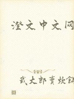 澄文中文网
