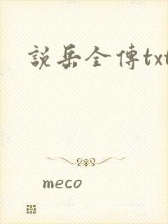 说岳全传txt