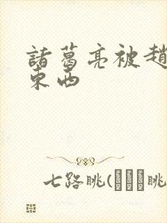 诸葛亮被赵云塞东西