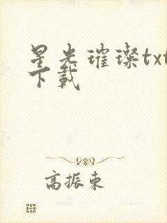 星光璀璨txt下载