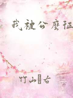 我被公么征服了