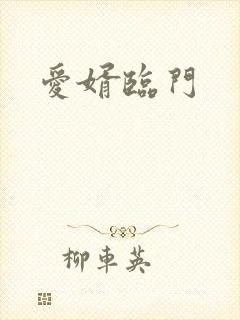 爱婿临门