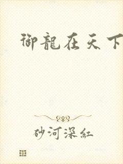 御龙在天下载