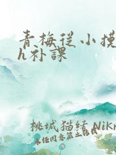 青梅从小摸到大h补课