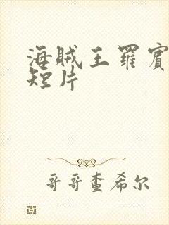 海贼王罗宾被h短片