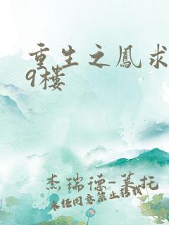 重生之凤求凰19楼