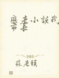 恋老小说我和老市长