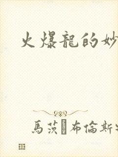 火爆龙的妙管家