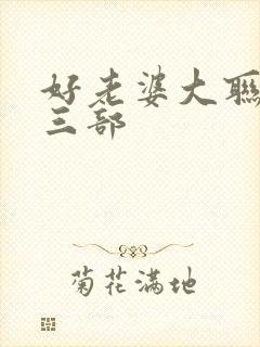 好老婆大联盟第三部