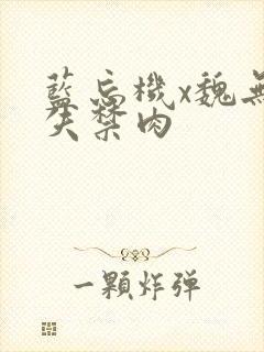 蓝忘机x魏无羡失禁肉