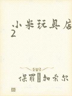 小米玩具店老板2