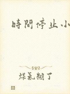 时间停止小说