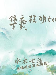 锦衣杀明txt下载