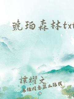 琥珀森林txt