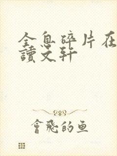 全息碎片在线阅读文轩